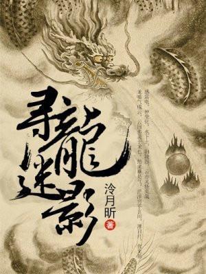 寻龙迷踪最新章节