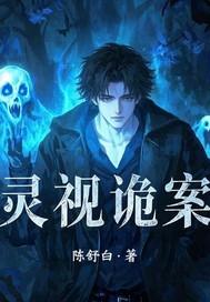 灵视能看到什么