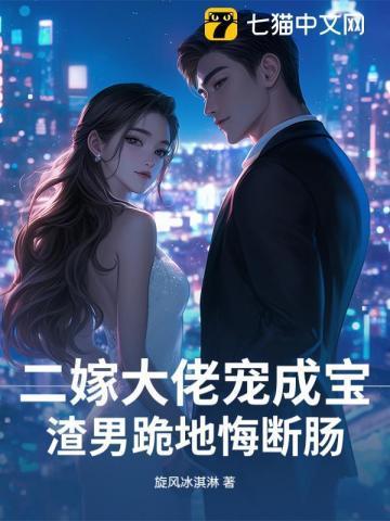 二嫁宠妃