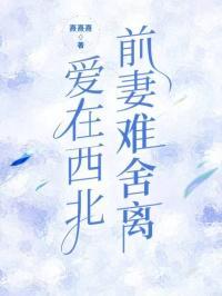 爱在大西北