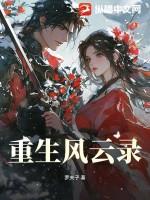 重生风云系列完本