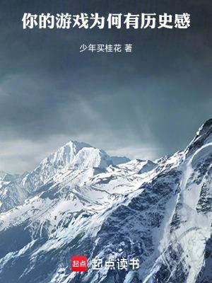 你的游戏为何有历史感免费阅读