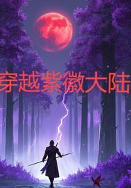 主角是紫薇大帝