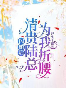 闪婚后我成了陆少的心尖宠全文阅读