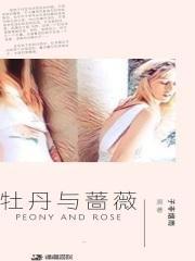 牡丹与蔷薇演员表演员介绍