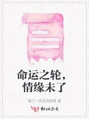 命运之轮啥意思