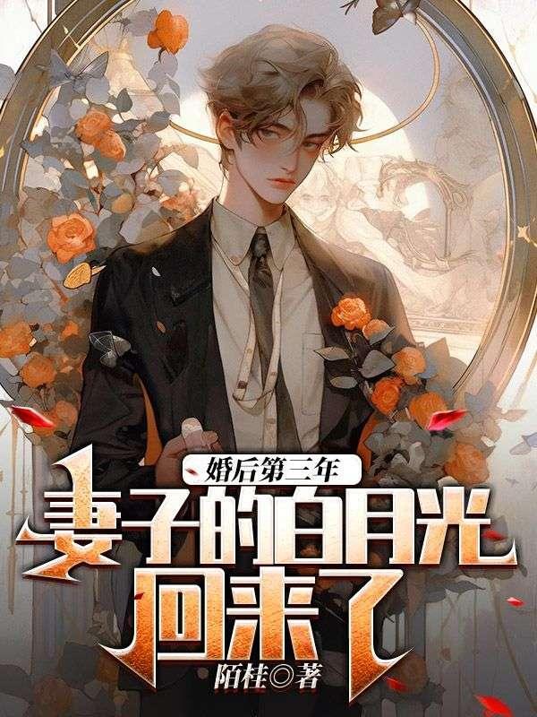 结婚三年白月光回来离婚