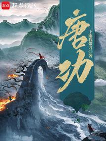 隋唐上将军笔趣阁