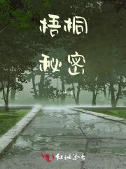 梧桐山上的秘密 攻略