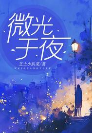 微光入夜什么意思