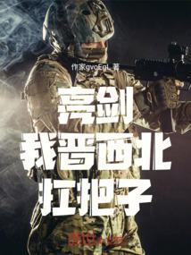 亮剑我晋西北扛把子