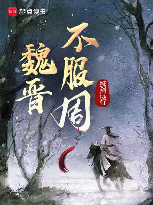 魏晋不服周王元姬txt