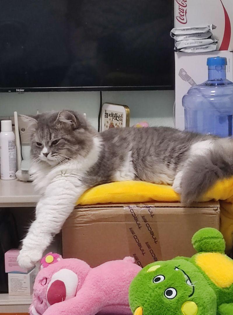 温澜潮生羊拐笔趣阁