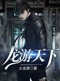 龙游天下什么意思