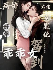 病娇大佬别黑化