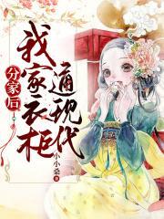 分家后我家衣柜通现代 小小桑