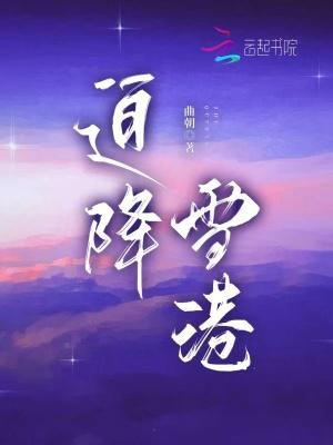 迫降雪港txt全本