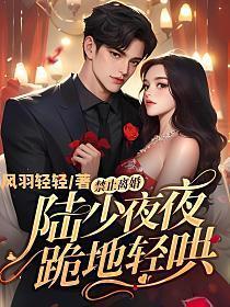 禁止离婚陆少夜夜跪地轻哄短剧免费阅读