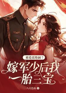 嫁给军长生了三胞胎