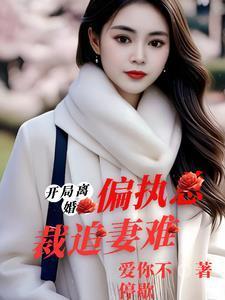 开局离婚偏执总裁追妻难