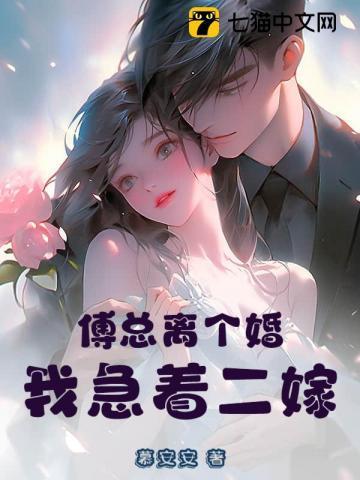 傅总夫人又闹离婚了免费阅读全文