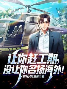 没让你名扬海外!秦风