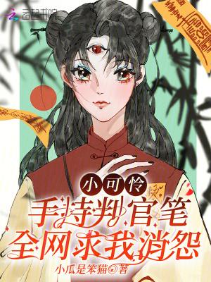 小可怜什么意思