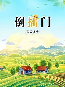 倒插门是啥意思