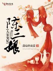 大宋宠妃陈三娘的背景故事