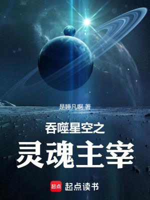 吞噬星空之灵魂主宰免费阅读全文