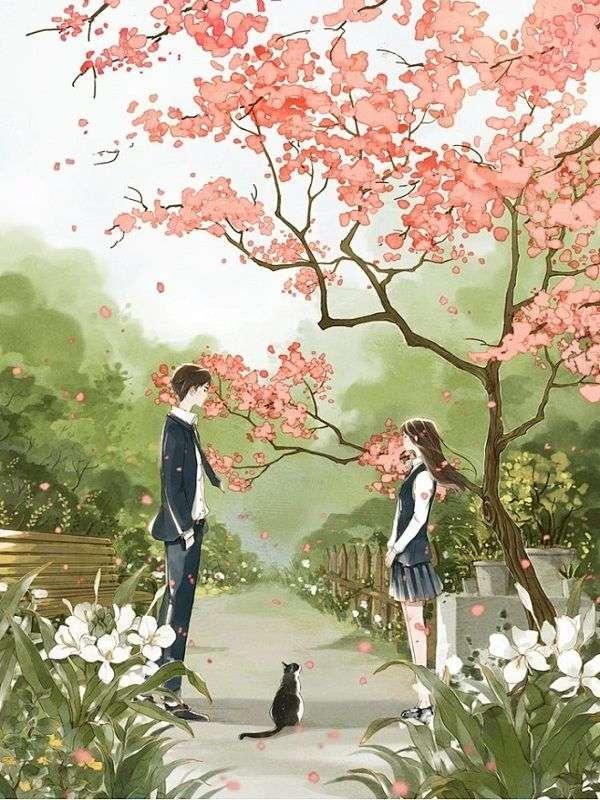 他和白月光结婚那天我死了百度