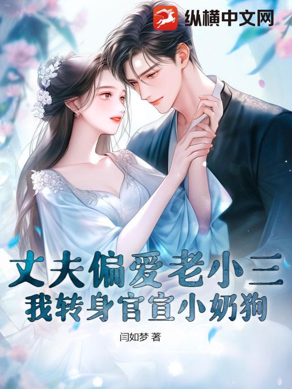小老公爱上大老婆
