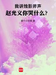 我讲烛影斧声赵光义原文