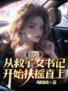 官路从救了女书记开始扶摇直上周晓
