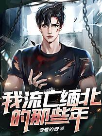 流在缅北的血 全本