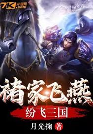 三国名将褚飞燕