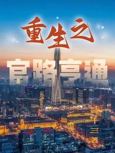 重生之官路殊途