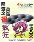 网游之菜鸟很疯狂txt百度