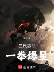 三尺微命一拳爆星免费阅读