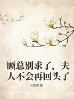顾总别求了夫人不会再回头了免费阅读