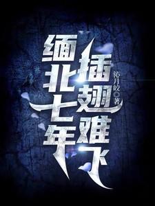 插翅难缅甸北部