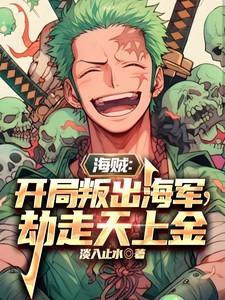 海贼开局播放