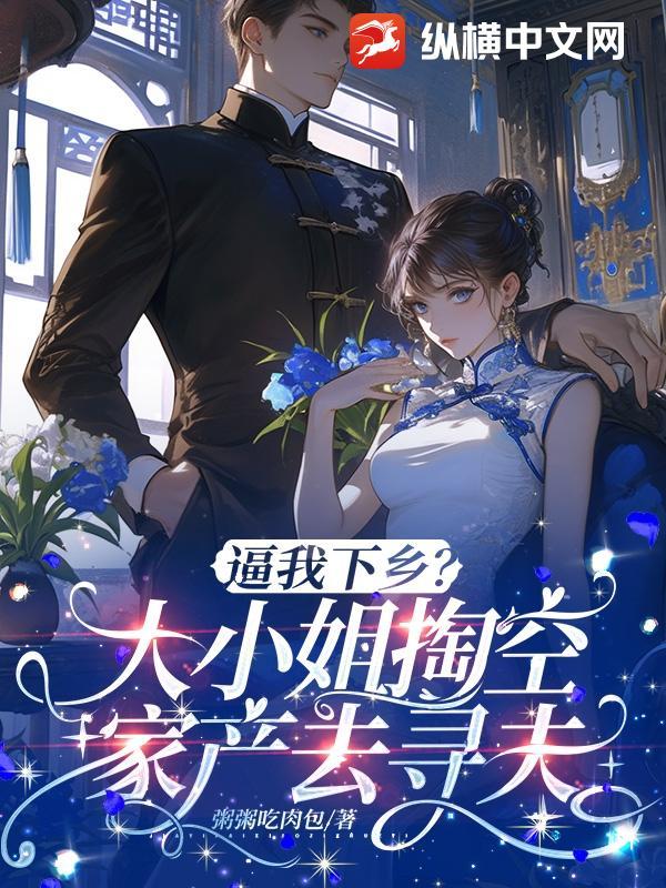 大小姐离家出走