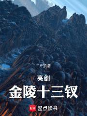 亮剑金陵十三钗免费阅读