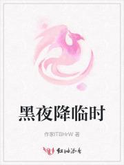 黑夜降临主角是谁
