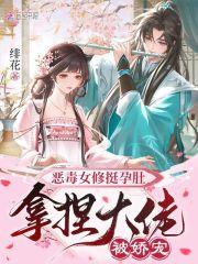 恶毒女修挺孕肚