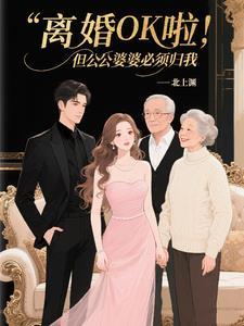 离婚ok啦但公公婆婆必须归我免费阅读