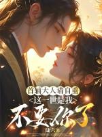 首辅大人别来无恙[比心