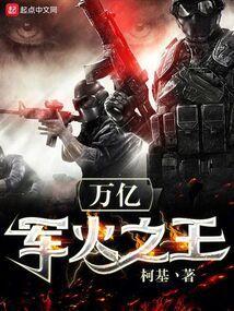 万亿军火之王txt百度