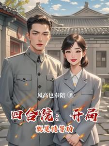 四合院开局就是特等功臣归来刘念安